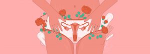 Ilustración del útero durante la menstruación
